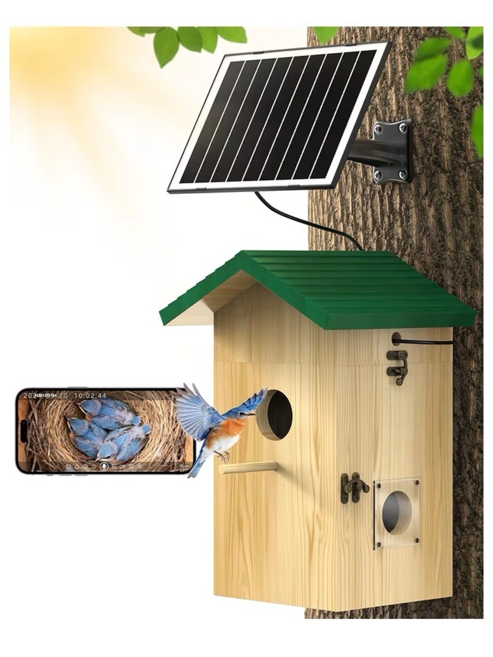 KINET CAM Bird house with solar powered camera